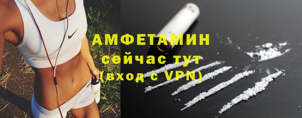 дживик Богородск