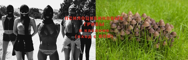 mdma Бородино
