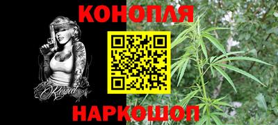 ешки Новозыбков