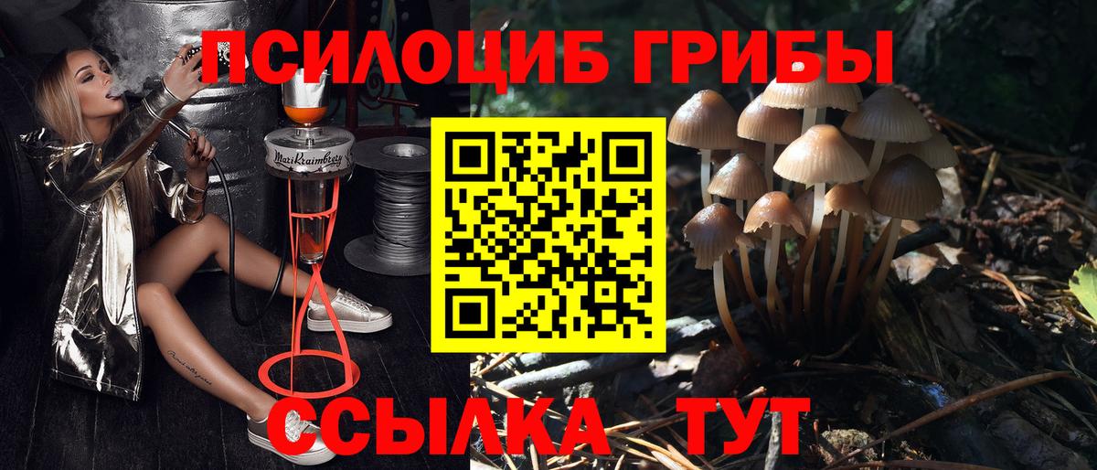 Псилоцибиновые грибы мицелий Валуйки