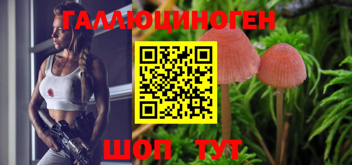 Псилоцибиновые грибы Psilocybine cubensis  Вход с VPN  Псилоцибиновые грибы прущие грибы  Валуйки 